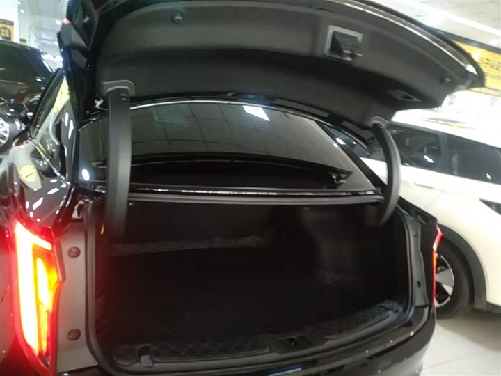 Hongqi E-QM5 2024 2024款 610km PLUS