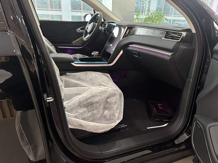 Hongqi HS7 Hybrid 2024 2024款 2.0T PHEV 四驱旗畅版 6座