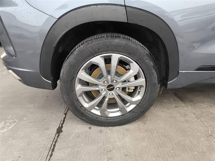 Exeed LX 2020 2020款 乘风破浪版 1.5T CVT星耀版