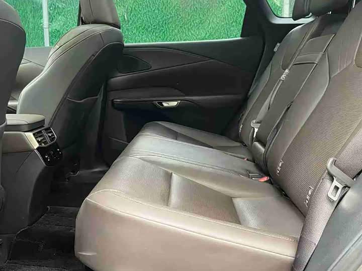 Lexus RX Hybrid 2023 2023款 450h+ 四驱畅享版