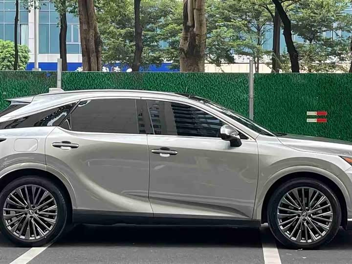 Lexus RX Hybrid 2023 2023款 450h+ 四驱畅享版