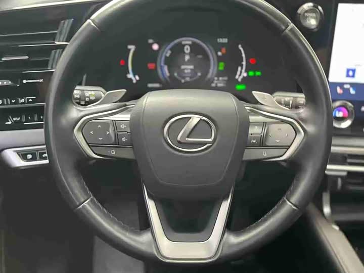 Lexus RX Hybrid 2023 2023款 450h+ 四驱畅享版