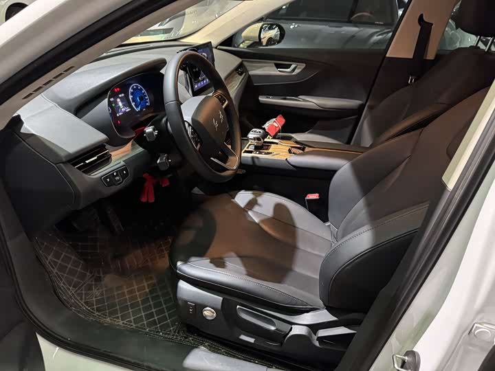 Hongqi E-QM5 2024 2024款 500km 出行版