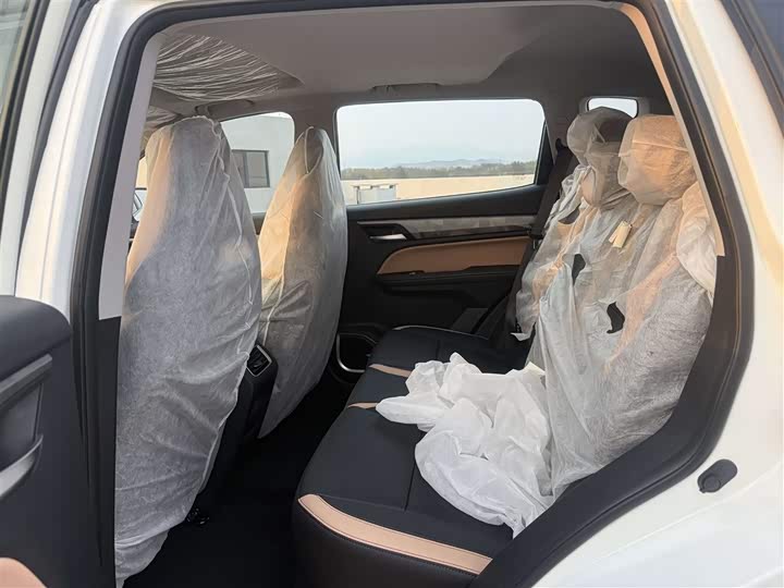 Geely Okavango Pro 2025 2025款 1.5T DCT 纵横+新春至尊版