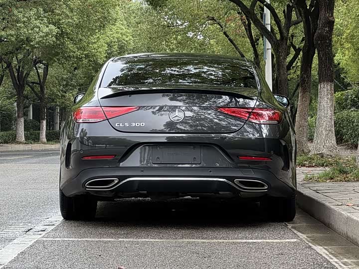 Mercedes-Benz CLS-Class 2023 2023款 CLS 300 豪华型
