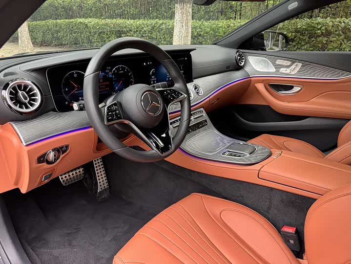 Mercedes-Benz CLS-Class 2023 2023款 CLS 300 豪华型