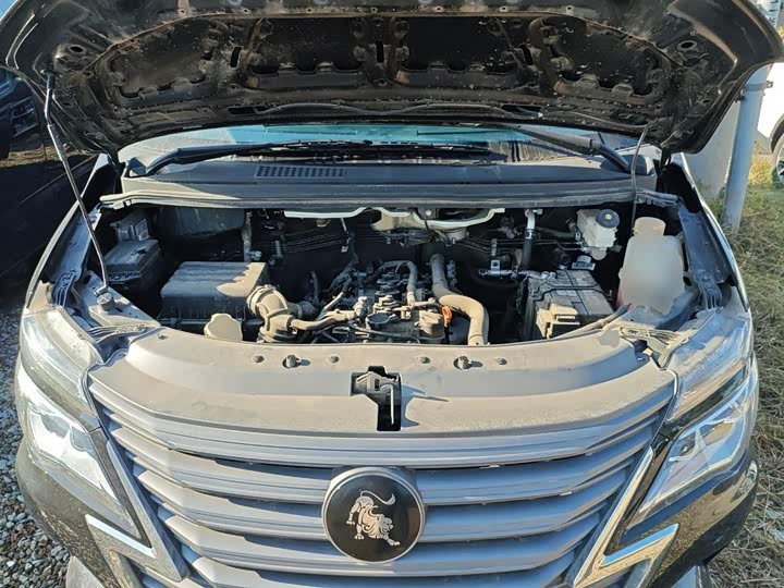 Dongfeng Forthing Lingzhi M5 2023 2023款 M5L 1.6L 基本型 5座