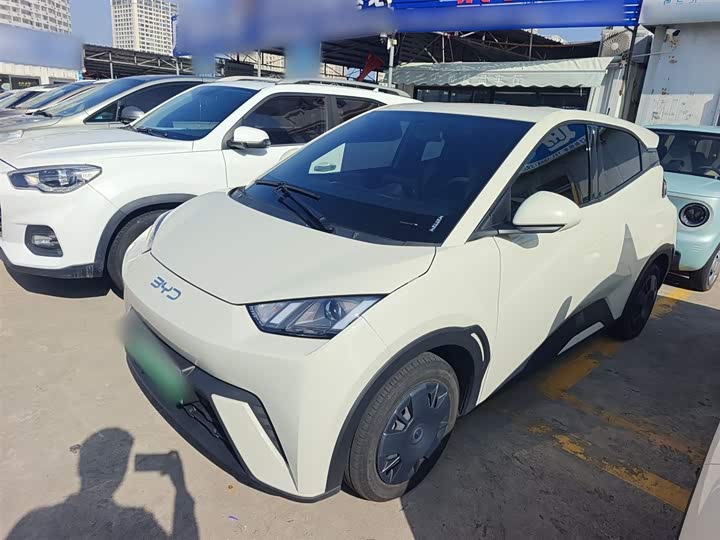 BYD Seagull 2025 2025款 305km 自由版