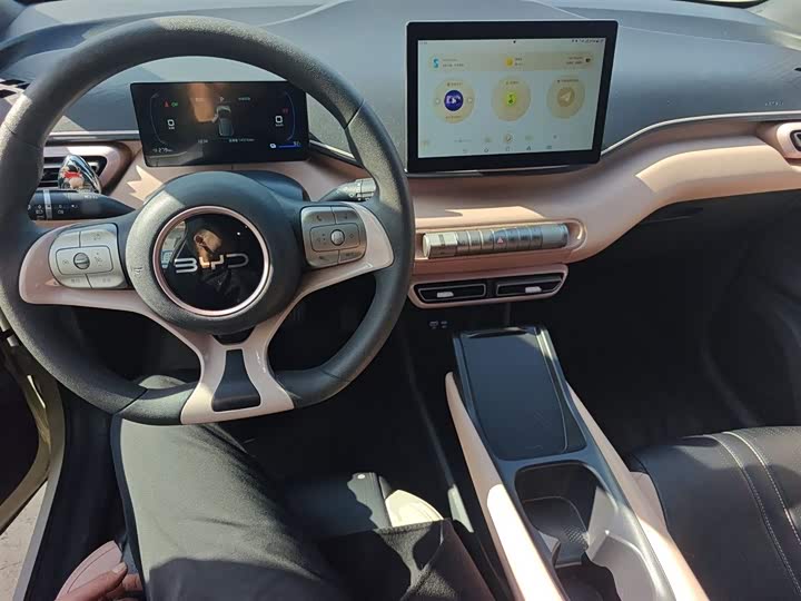 BYD Seagull 2025 2025款 305km 自由版