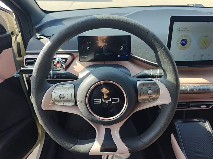 BYD Seagull 2025 2025款 305km 自由版