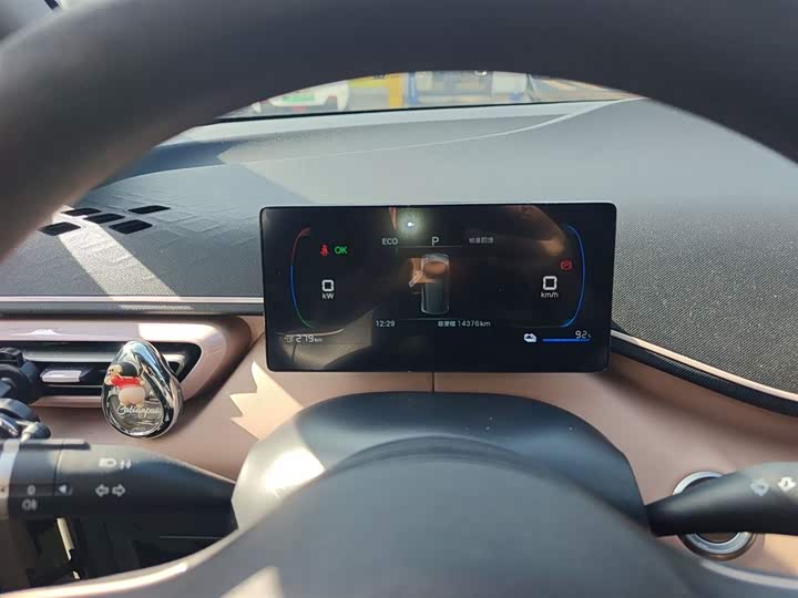 BYD Seagull 2025 2025款 305km 自由版