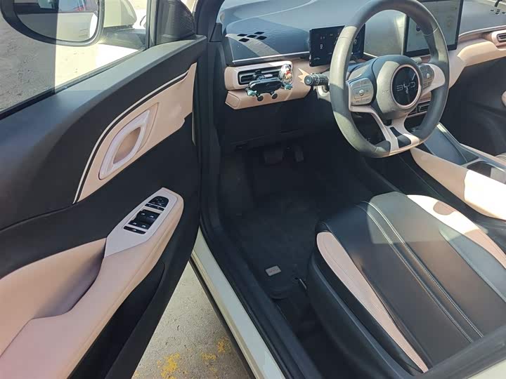 BYD Seagull 2025 2025款 305km 自由版