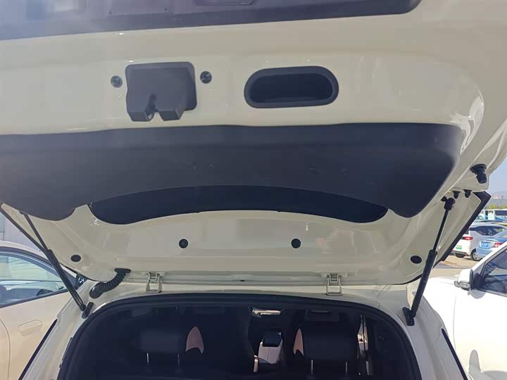 BYD Seagull 2025 2025款 305km 自由版