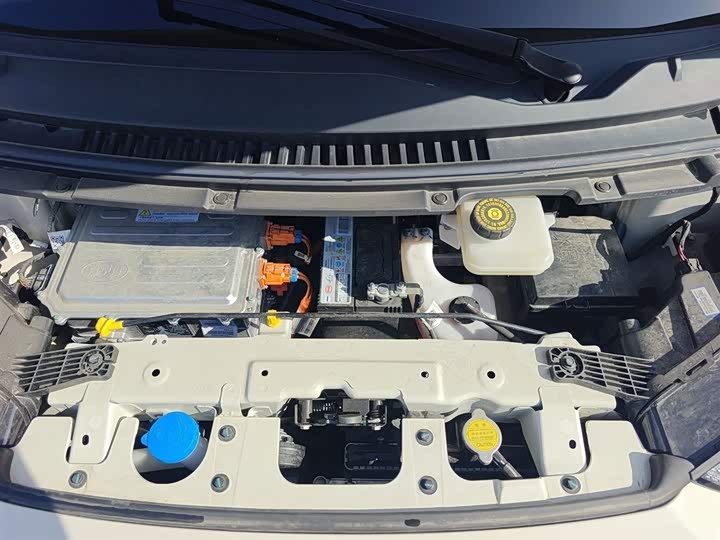 BYD Seagull 2025 2025款 305km 自由版