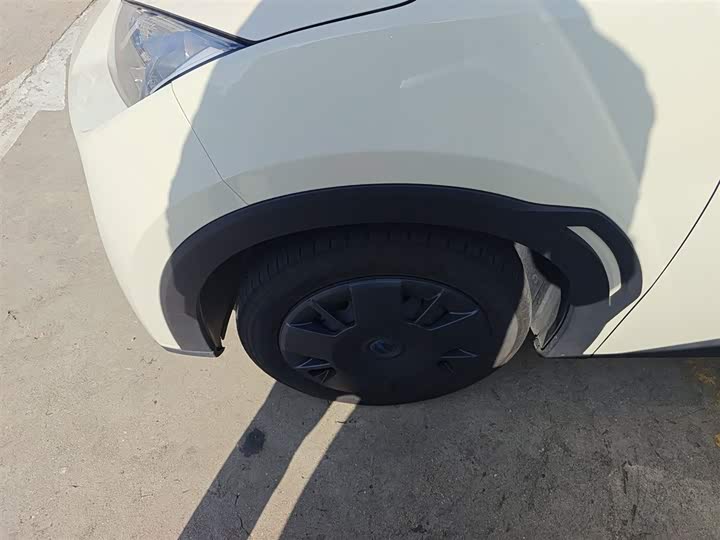 BYD Seagull 2025 2025款 305km 自由版