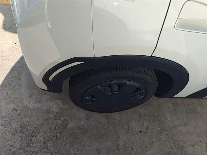 BYD Seagull 2025 2025款 305km 自由版