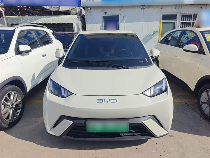 BYD Seagull 2025 2025款 305km 自由版