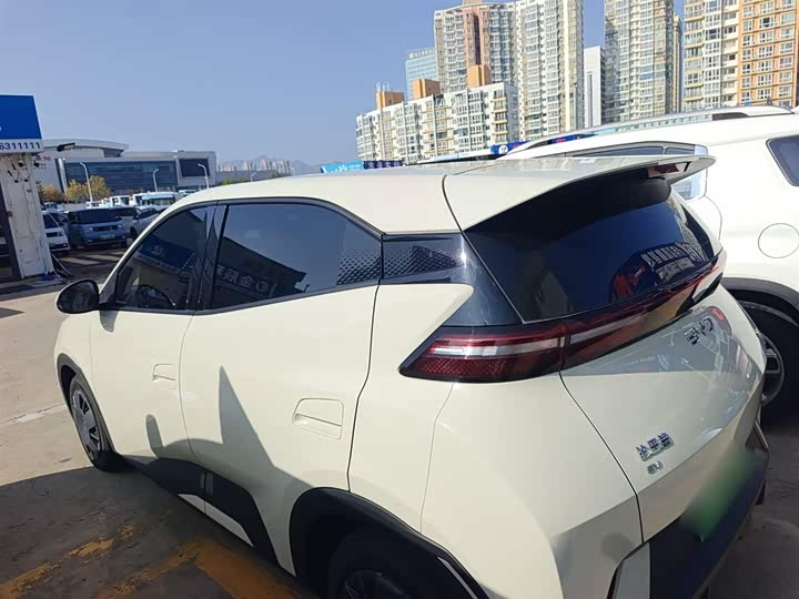 BYD Seagull 2025 2025款 305km 自由版