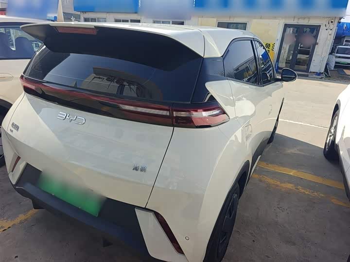 BYD Seagull 2025 2025款 305km 自由版