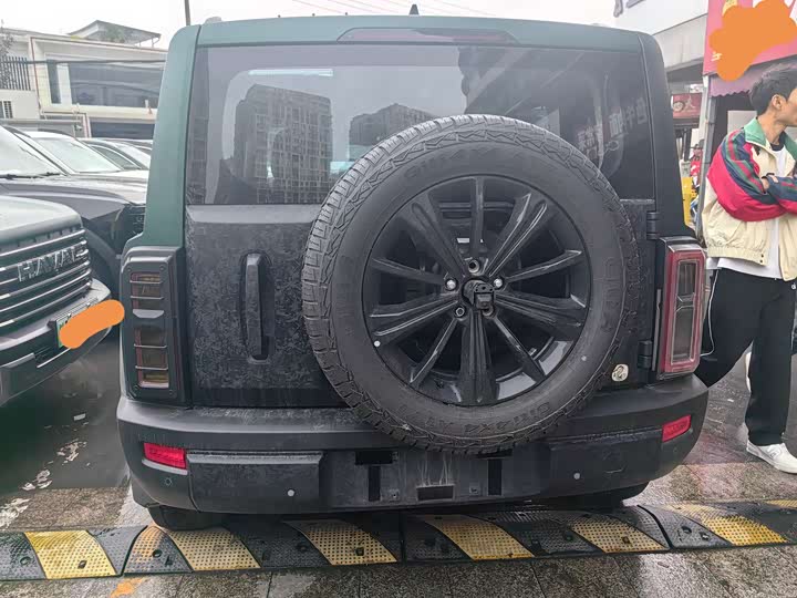 Haval Raptor 2025 2025款 2.0T 4WD Pro