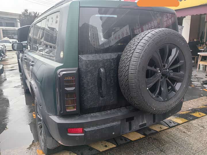 Haval Raptor 2025 2025款 2.0T 4WD Pro