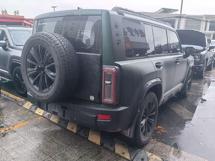 Haval Raptor 2025 2025款 2.0T 4WD Pro