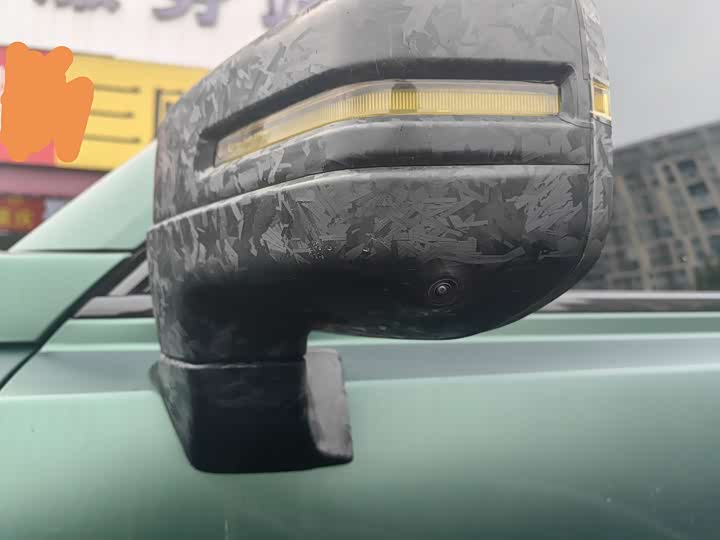 Haval Raptor 2025 2025款 2.0T 4WD Pro