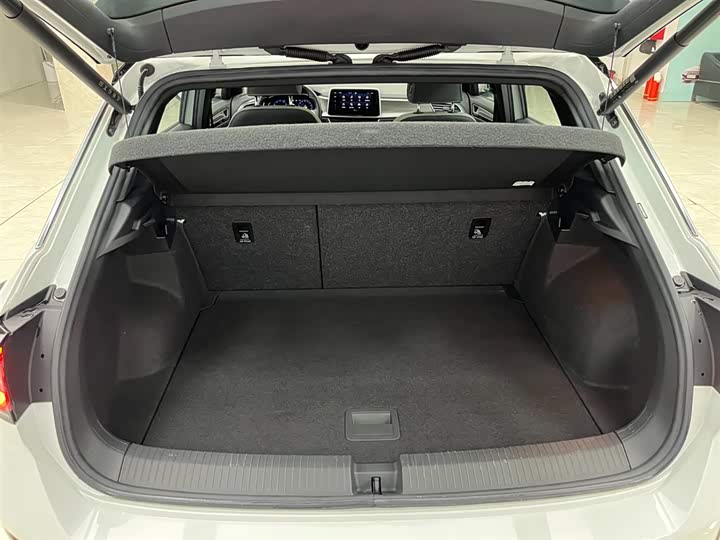 Volkswagen T-Roc 2023 2023款 300TSI DSG两驱星光版