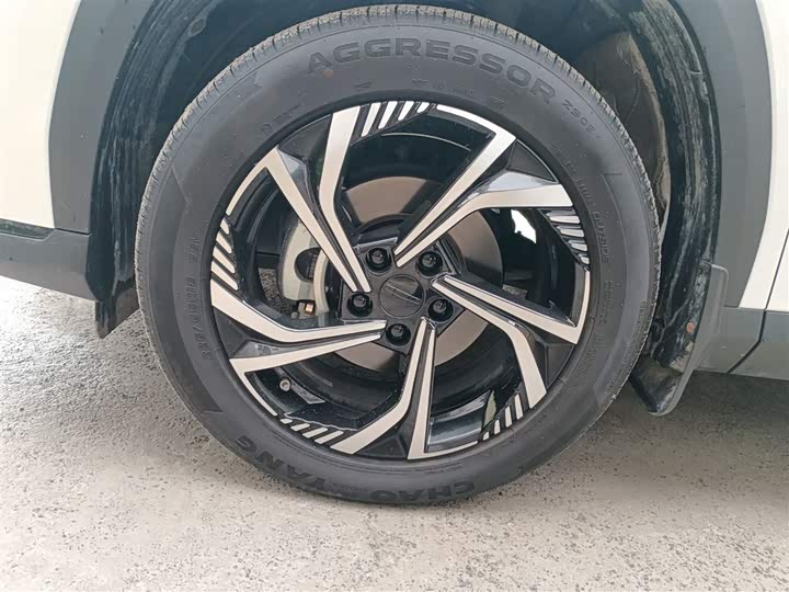 Geely Atlas 2024 2024款 1.5TD 龙腾版