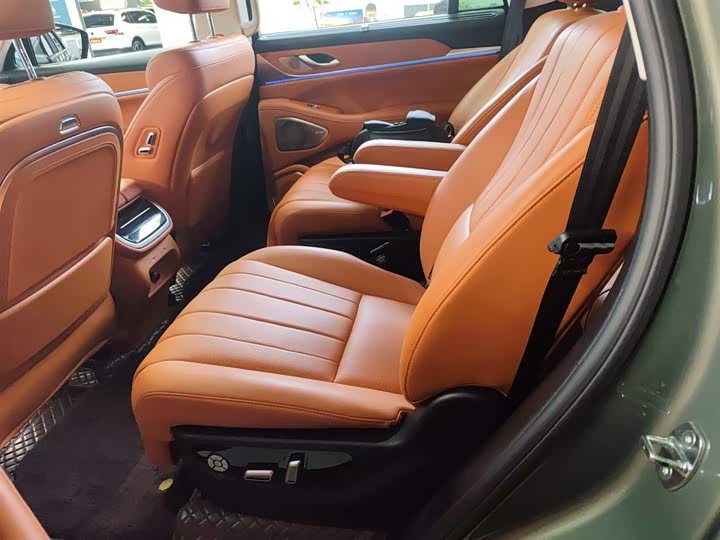 Wey Lanshan 2025 2025款 四驱智驾 Ultra