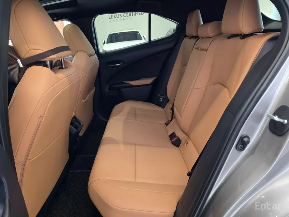 Lexus UX 2019 2.0 2WD