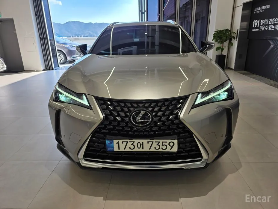 Lexus UX 2019 2.0 2WD