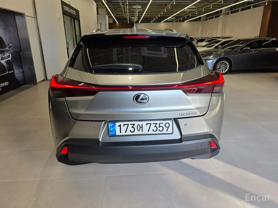 Lexus UX 2019 2.0 2WD