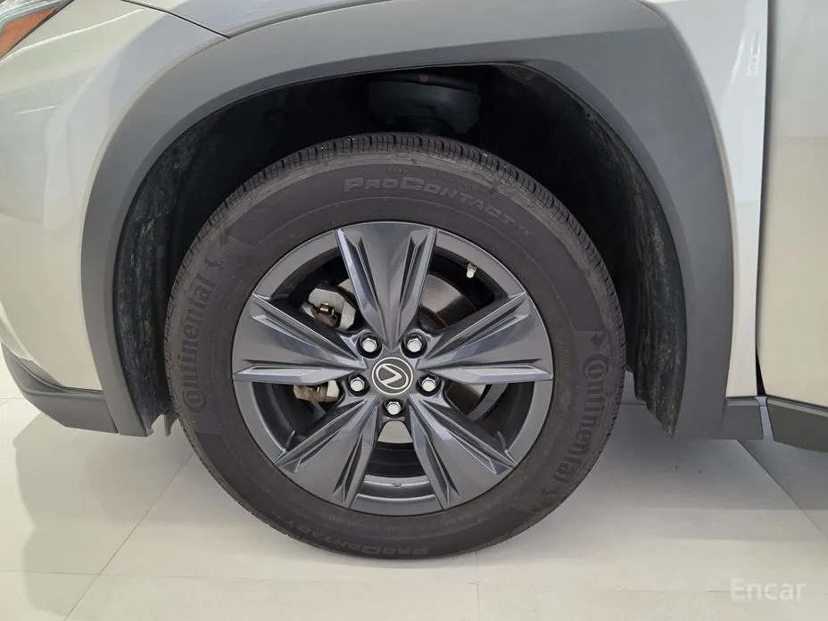 Lexus UX 2019 2.0 2WD