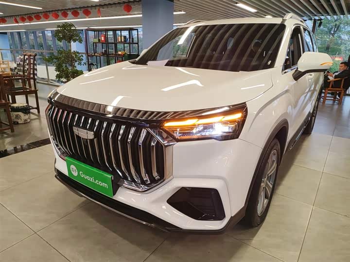 Geely Okavango L 2024 2024款 2.0T DCT尊贵型