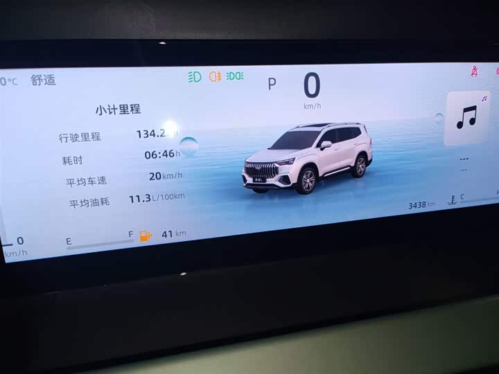 Geely Okavango L 2024 2024款 2.0T DCT尊贵型