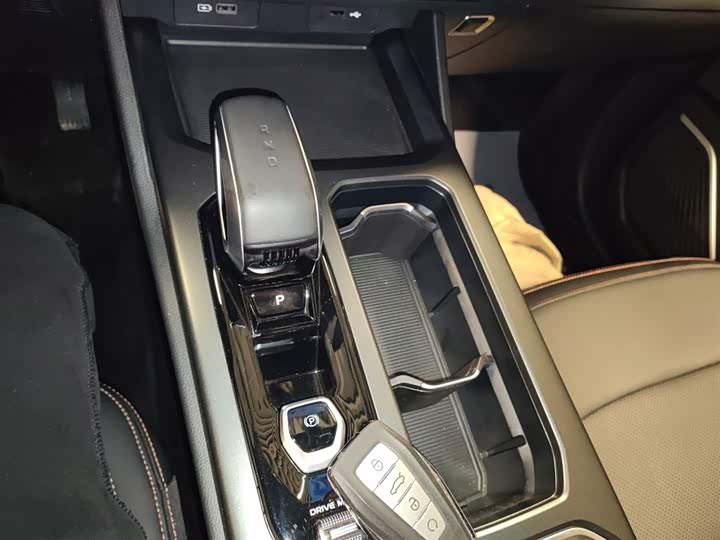 Geely Okavango L 2024 2024款 2.0T DCT尊贵型