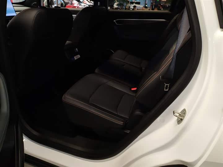 Geely Okavango L 2024 2024款 2.0T DCT尊贵型