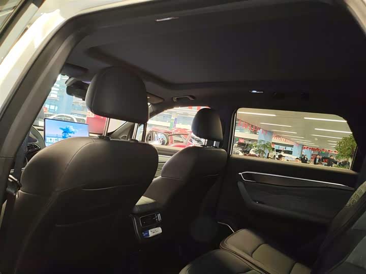 Geely Okavango L 2024 2024款 2.0T DCT尊贵型