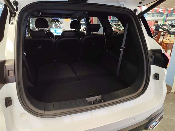 Geely Okavango L 2024 2024款 2.0T DCT尊贵型