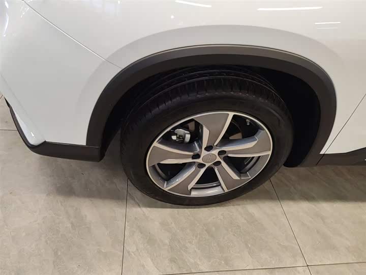 Geely Okavango L 2024 2024款 2.0T DCT尊贵型