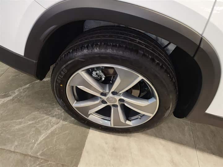 Geely Okavango L 2024 2024款 2.0T DCT尊贵型