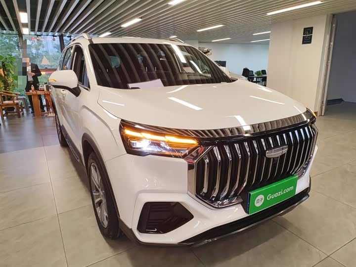 Geely Okavango L 2024 2024款 2.0T DCT尊贵型