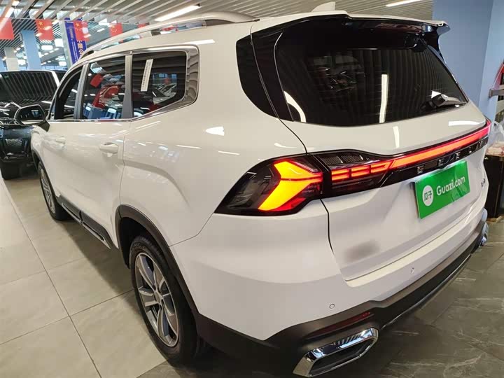 Geely Okavango L 2024 2024款 2.0T DCT尊贵型