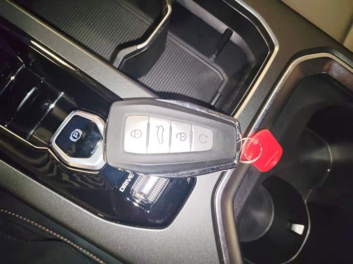 Geely Okavango L 2024 2024款 2.0T DCT尊贵型