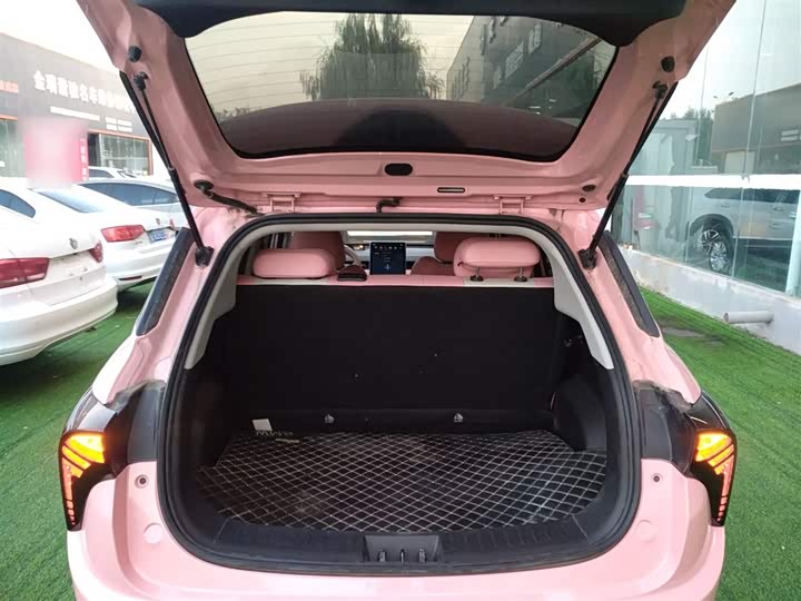 Hozon V 2022 2022款 潮 400 Lite 粉色定制款