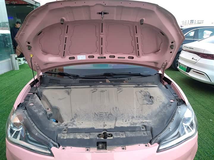 Hozon V 2022 2022款 潮 400 Lite 粉色定制款