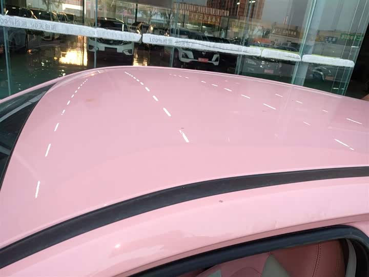 Hozon V 2022 2022款 潮 400 Lite 粉色定制款