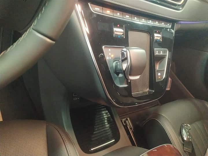 Hongqi HQ9 2023 2023款 2.0T 智联旗享版