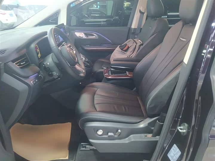 Hongqi HQ9 2023 2023款 2.0T 智联旗享版